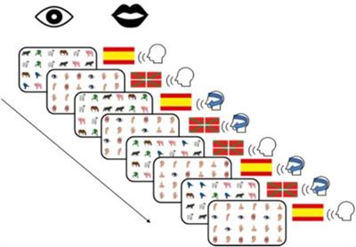 Exploring Different Types of Inhibition During Bilingual Language Production